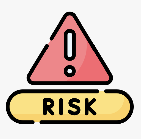 Risk Assessment Services